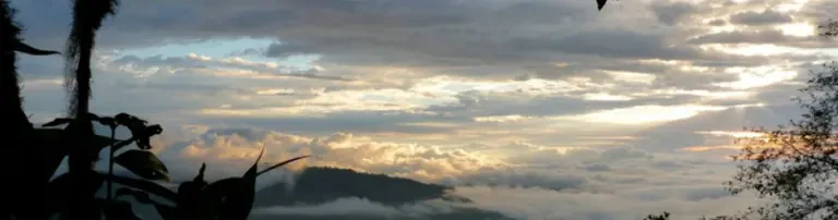 Regenwaldschutz in Ecuador e.V. Header