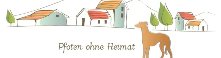 Pfoten ohne Heimat e. V. Header