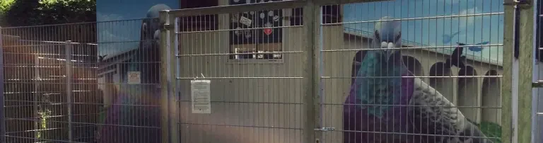 Tierschutzverein Bielefeld u.U. e.V. Header