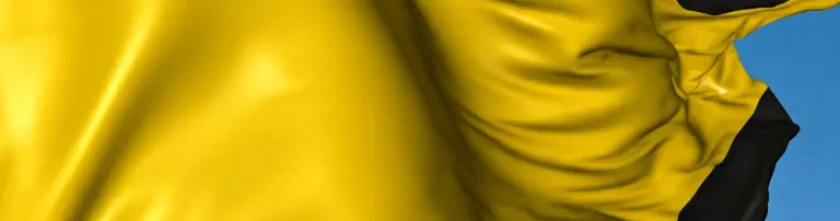 SV Weiherhof Header