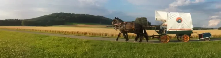 wirundjetzt e.V. Header