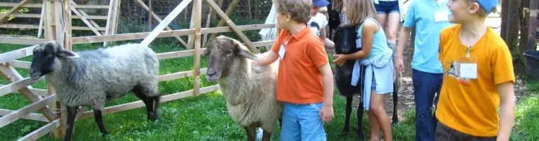 Menschen brauchen Tiere e.V. Header