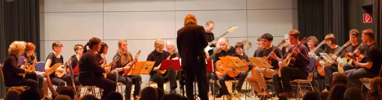 Mandolinenorchester Neuenhain 1924 e.V. Header