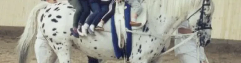 Pferdezentrum am Rehagen (Voltigierabteilung) Header