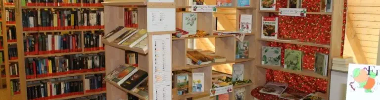 Bücherkiste Emskirchen Header