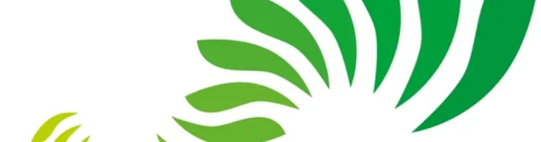BSG Dülmen e.V. - Verein für Gesundheitssport Header