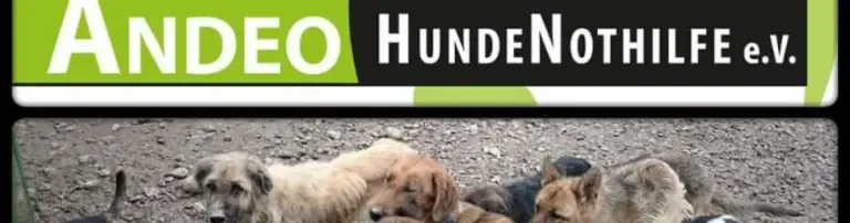 Andeo Hundenothilfe e.V. Header