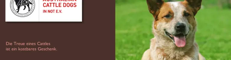 ACD in Not e. V. Header
