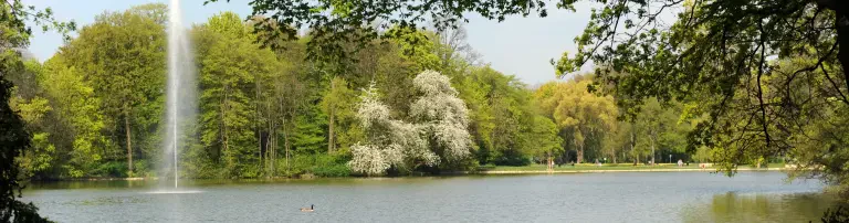 Kölner Grün Stiftung Header