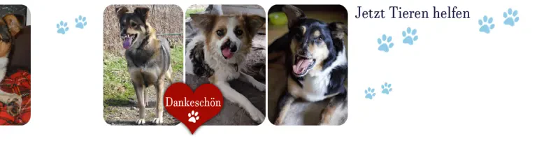 RespekTIERE Leben e.V. Header