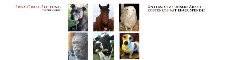 Erna-Graff-Stiftung für Tierschutz Header