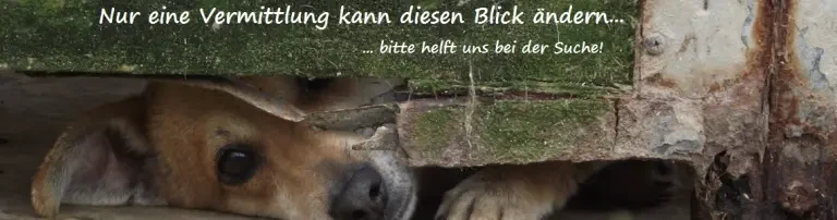 Freundeskreis "Die Vergessenen" e.V. Header