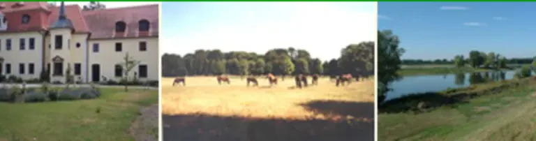 Verein zur Bewahrung und Förderung des ländlichen Raumes Ostelbien im Landkreis Nordsachsen e. V. Header