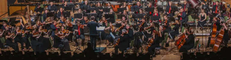 Rheingauer Film-Symphoniker e.V. Header