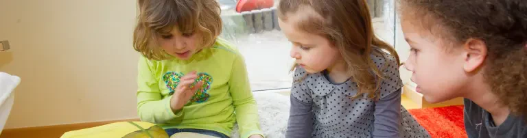 Kleine Füchse Raule-Stiftung Header