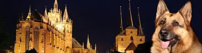 Hundesport SV OG Erfurt e.V. Header