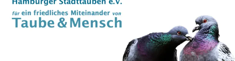 Hamburger Stadttauben e.V. Header