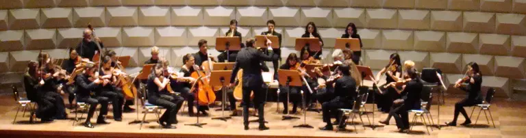 Mozart-Gesellschaft Wiesbaden e. V. Header