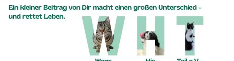 Wags His Tail e.V. Header