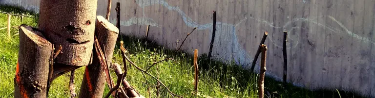 El Palito e.V. Header