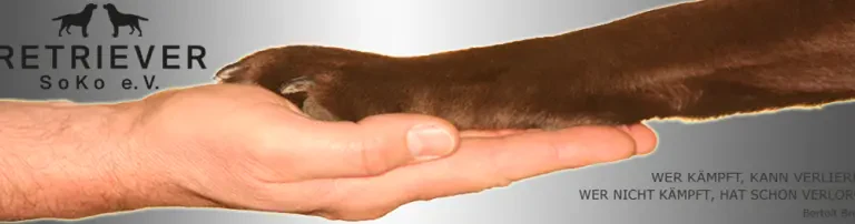 Retriever Soko e.V. Header