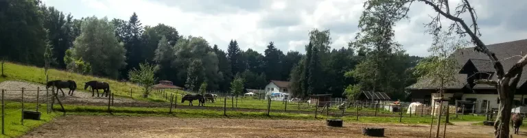 Gnadenhof - Lebenswürde für Tiere e.V. Header