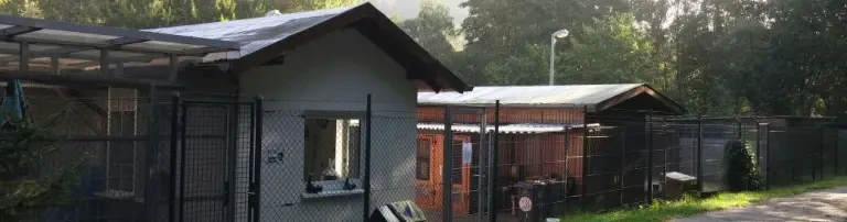 Tierheim Ransbach Baumbach Glückshunde e.V. Header