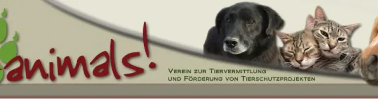 4animals! e.V. Header