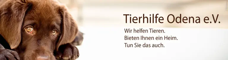 Tierhilfe Òdena e.V. Header