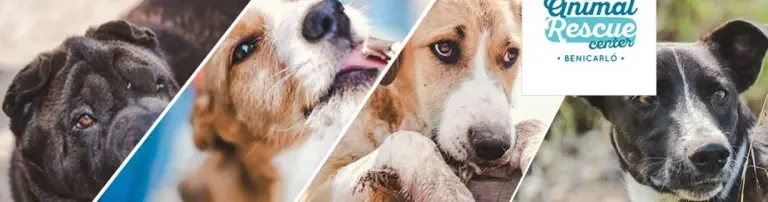 Animal Rescue Center Benicarlo Header