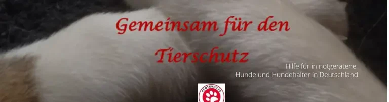 Pfotenhilfe e.V. Header