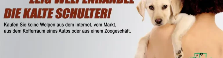 Arche Noah Tierschutz Westerwald e.V. Header