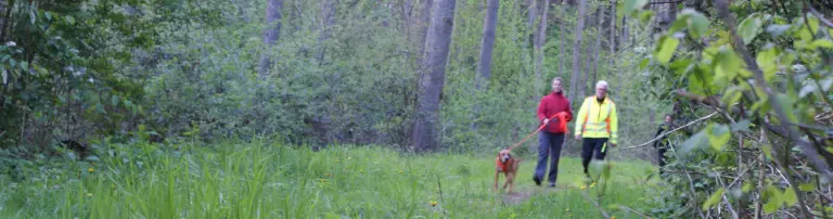 Personensuchhunde Rheinland-Pfalz e. V. Header