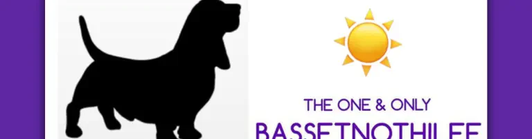 Basset Nothilfe e.V. European Basset Rescue Header