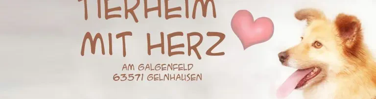 Tierheim Gelnhausen / Tierschutz Kinzig Main e.V. Header