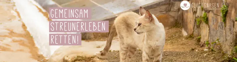 Glücksnasen e.V. Tierschutzverein Header