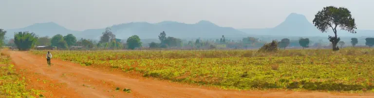 Support Malawi Heidelberg, Verein zur Förderung von Bildung in Malawi e.V. Header