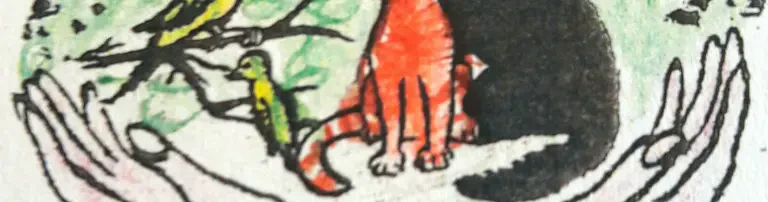 Tierschutzverein Rudolstadt und Umgebung e.V. Header