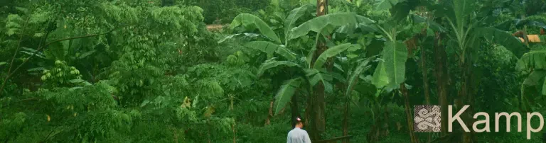 Kampung. Verein zur Unterstützung der ländlichen Bevölkerung auf Borneo Header