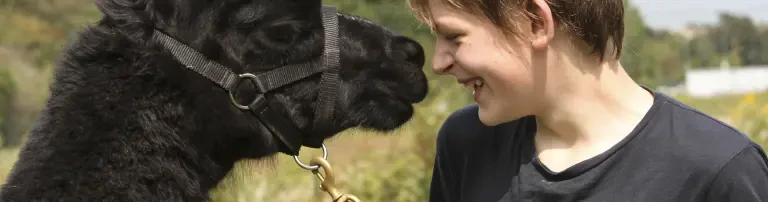 Gemeinnützige Känguru Mobil GmbH Header