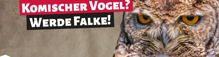 Sozialistische Jugend Deutschlands - Die Falken, KV Wuppertal - Bergisch Land Header