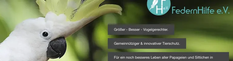 FedernHilfe e.V. Header