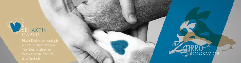 Tierschutzverein Zorro Dogsavior Header