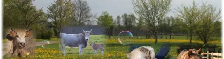 Naturerlebnispark Gristow Header