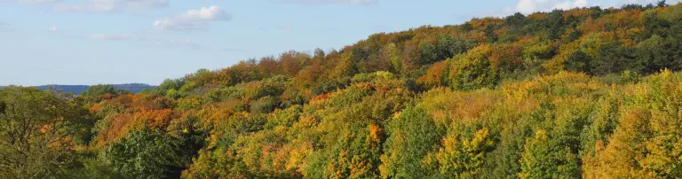 NABU Kreisverband Hildesheim e. V. Header