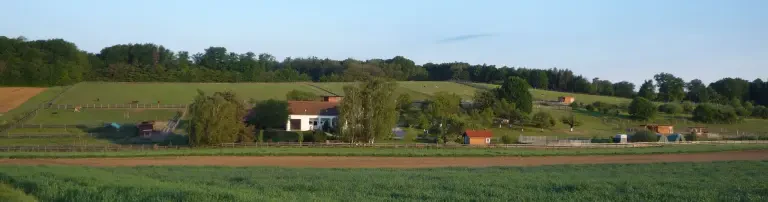 Tierhilfe Horsearound Header