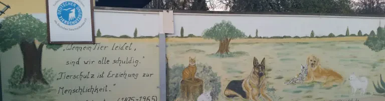Tierschutzverein Aschersleben e.V. Header