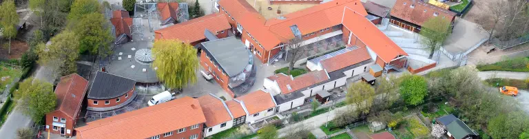 Bremer Tierschutzverein e.V. Header