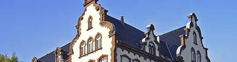 EMS e.V. - Förderverein der Martin-Luther-Schule Marburg Header