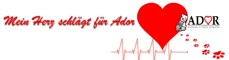 Mein Herz schlägt für Ador Header